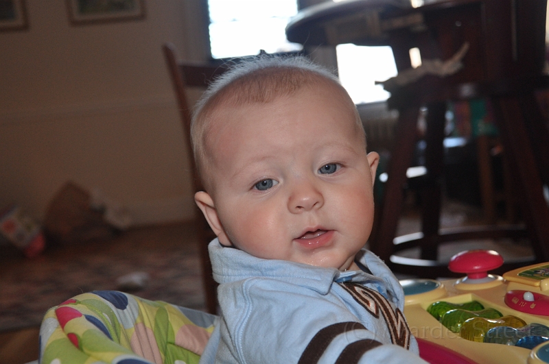 William's Twenty-Sixth Week 04.jpg